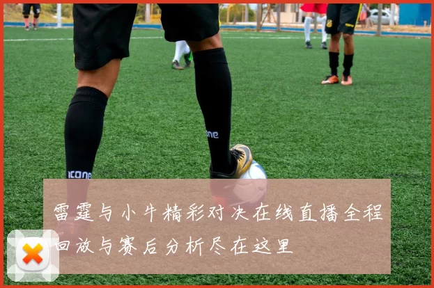 雷霆与小牛精彩对决在线直播全程回放与赛后分析尽在这里