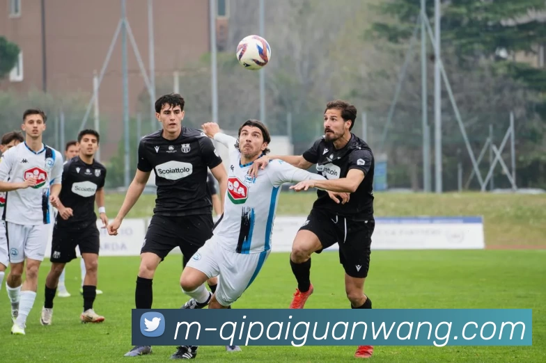 棋牌官网APP 封面图